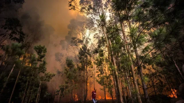 Mais de 70 concelhos em perigo máximo de fogo no Norte, Centro e Algarve