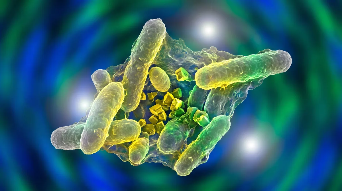 Descubren bacterias en una mina alemana que pueden inmovilizar uranio en el agua