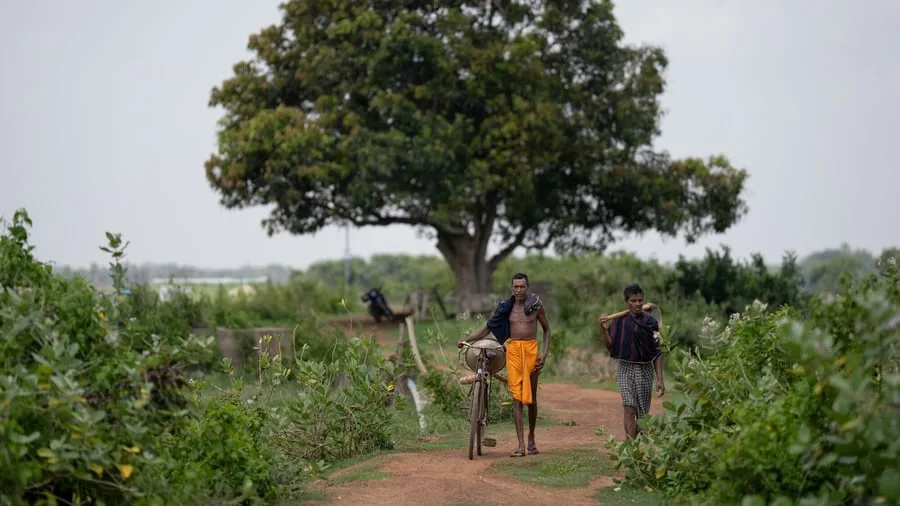 Schwellenländer: El-Niño-Schock in Asien treibt weltweit Agrar- und Metallpreise nach oben