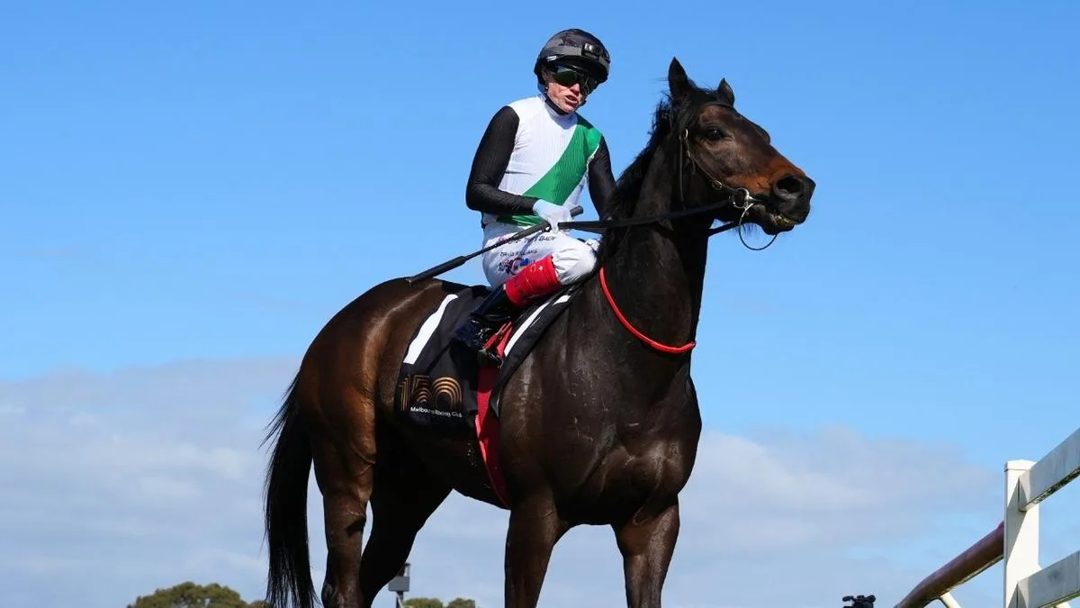 Prolific Group 1 winner Mr Brightside could yet have career put on hold again: ‘50-50’