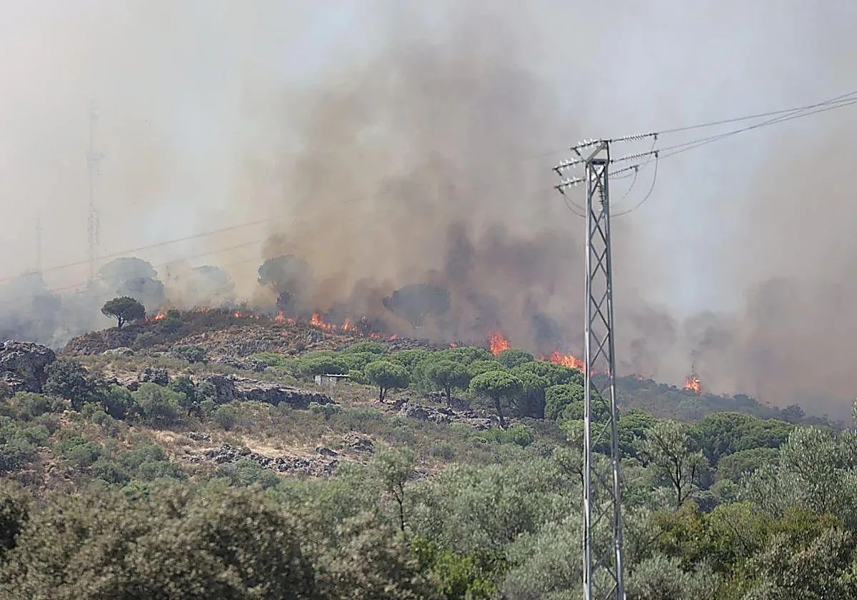 Se enfrentan a tres años de prisión por provocar cinco focos de incendio y ocultar un rifle sin licencia en una finca de Córdoba