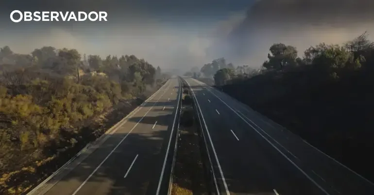 Dois militares atropelados na A1 na zona da Mealhada