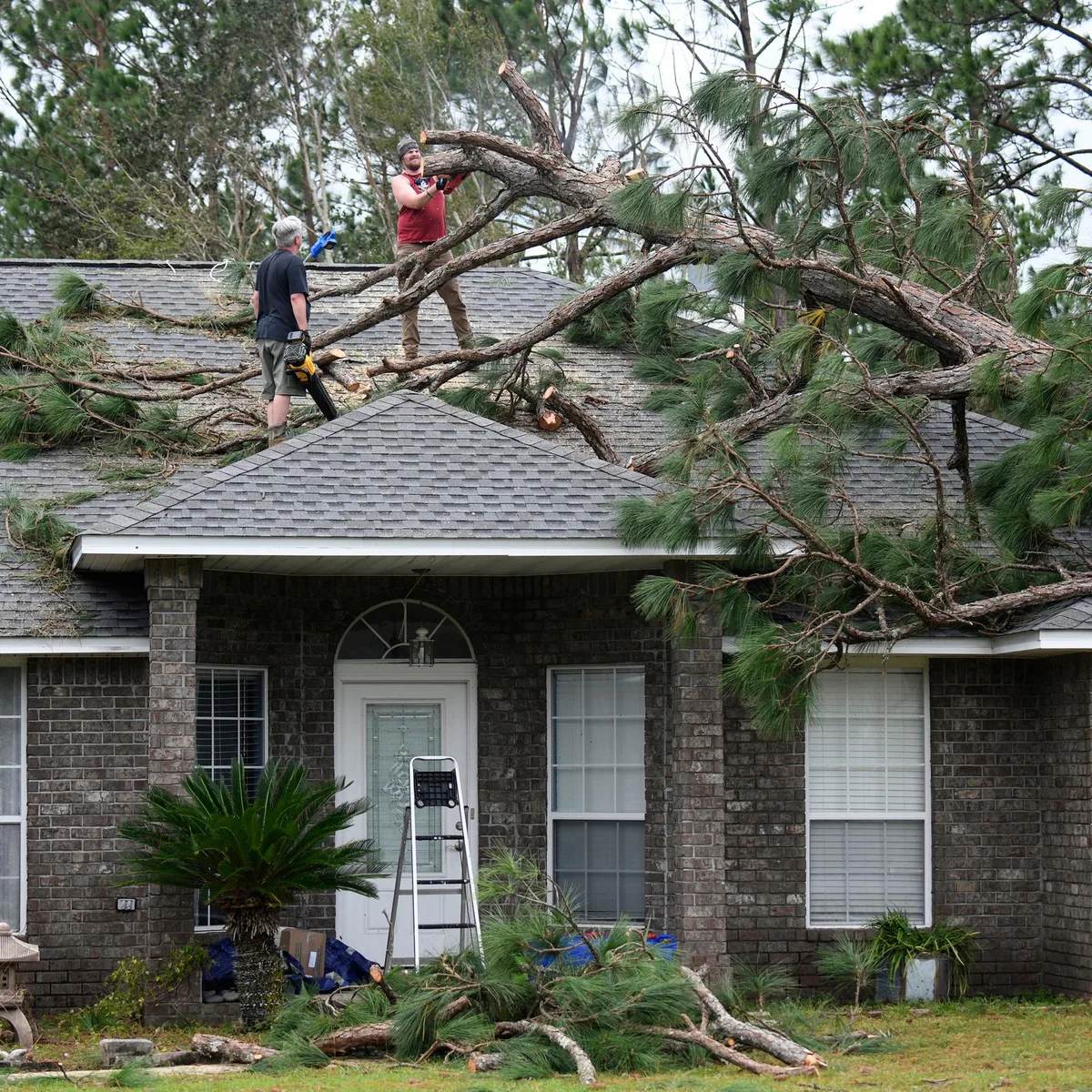 USA - Sturm "Isaias" in Florida und Alabama: vier Tote und Hunderttausende ohne Strom - Mexiko bereitet sich auf Hurrikan "Simon vor"