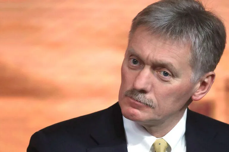 Песков: Поддержка Стуббом ударов по складам Wildberries вызывает удивление