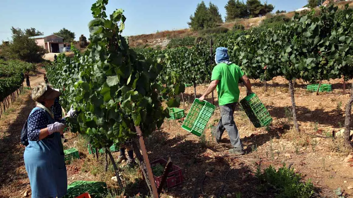 Israel’s settler economy braces for European sanctions