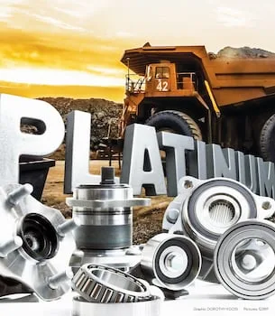 ASHLEY NYIKO MABASA | PGMs could be the basis of a new industrial strategy