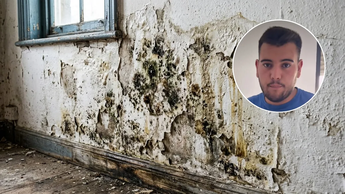Santiago, albañil: “Para arreglar una pared con humedad hay que picar hasta llegar a la superficie firme”