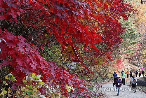 강원 대체로 맑다가 오후부터 구름…낮 최고 21도