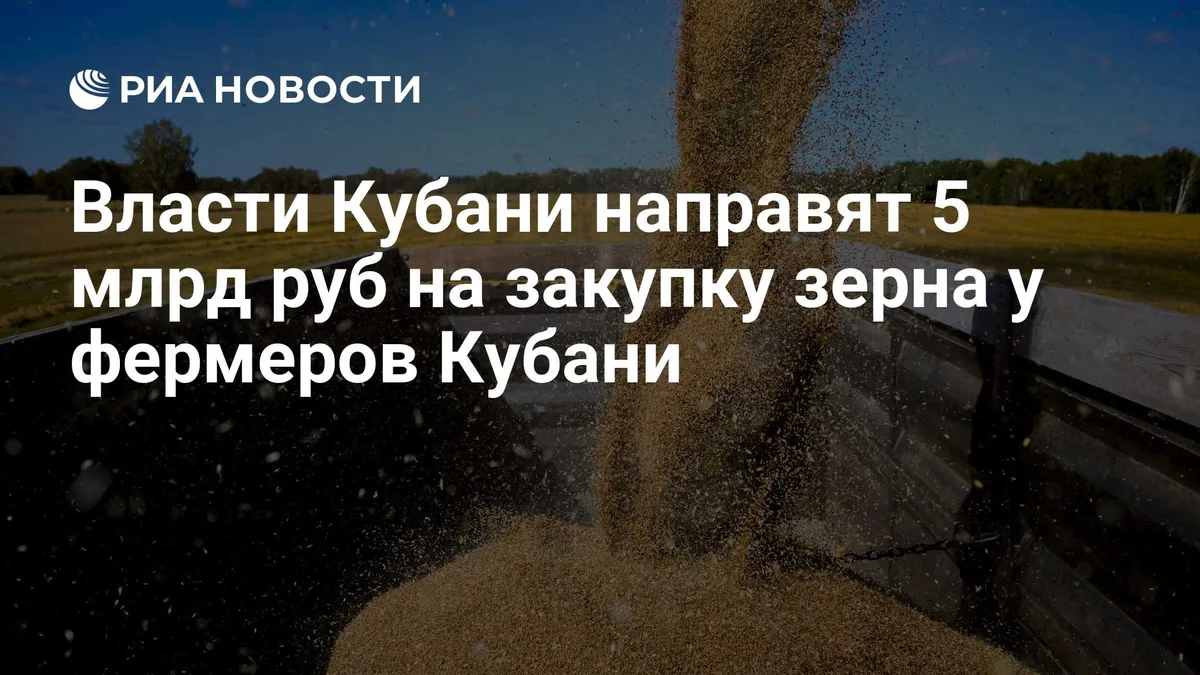 Власти Кубани направят 5 млрд руб на закупку зерна у фермеров Кубани
