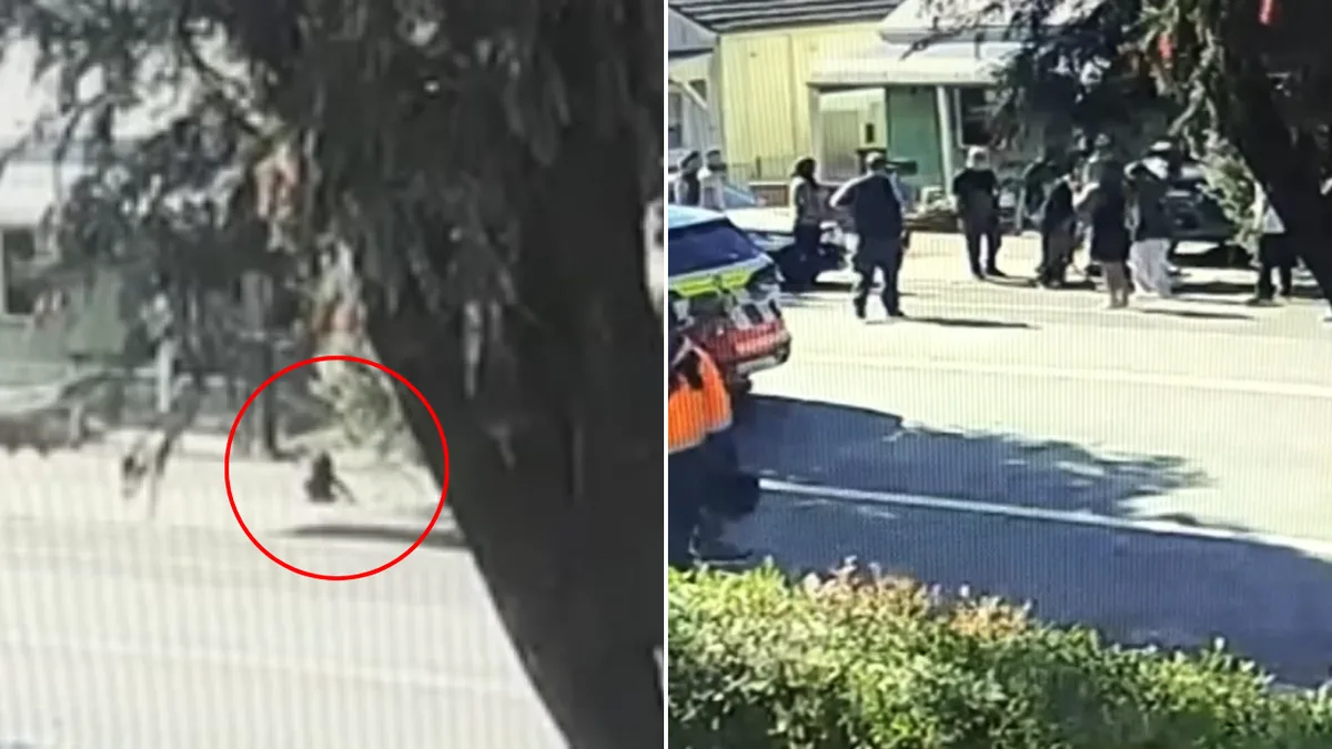 CCTV captures moments before three-year-old girl fatally struck by car in Auburn driveway