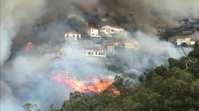 Governo da Madeira investe 8,4 milhões em prevenção de incêndios