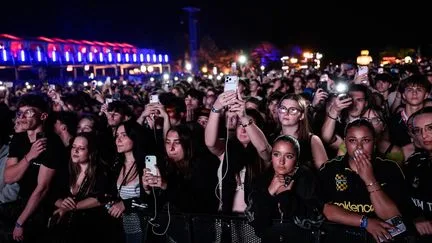 La fréquentation des festivals de l'été "globalement bonne", mais un modèle économique "à bout de souffle", déplore le Syndicat des musiques actuelles