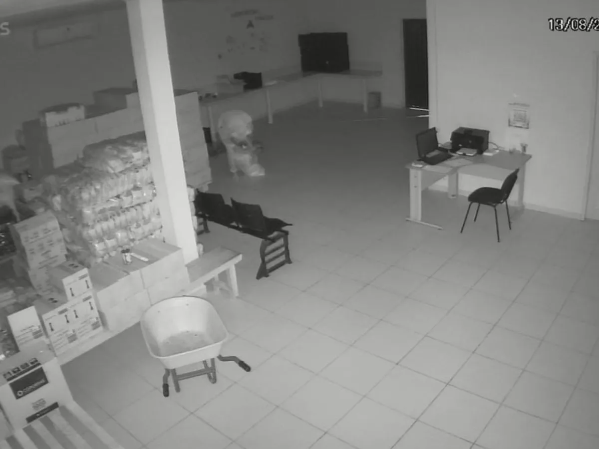 VÍDEO: Homens encapuzados invadem almoxarifado e furtam merenda escolar no Acre