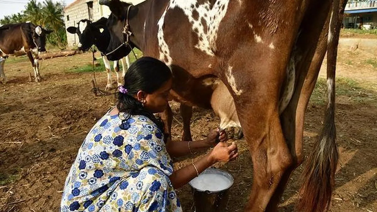 BEMUL crosses daily procurement of 3 lakh kg of milk