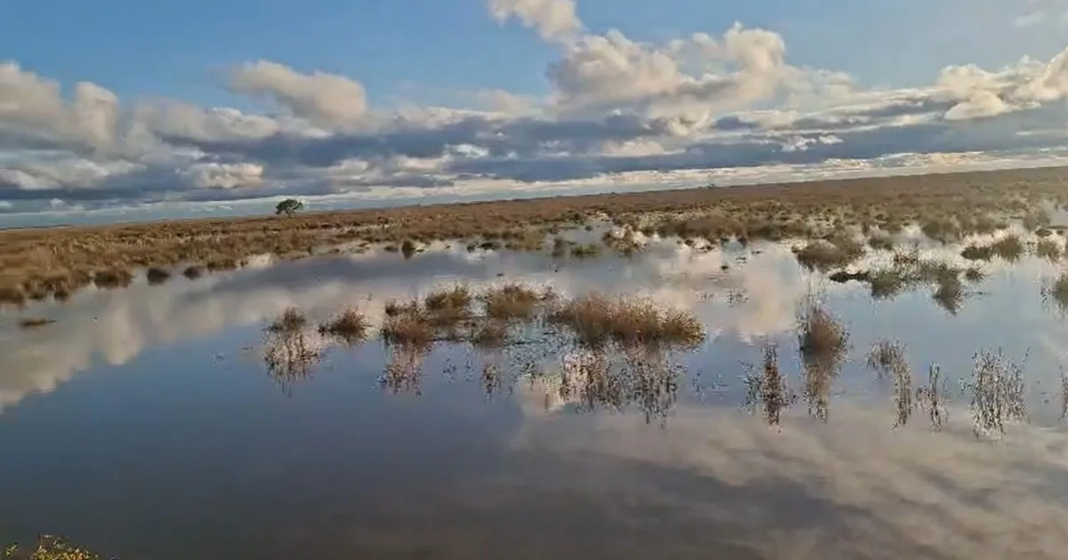 El Niño comienza a golpear en el Litoral: alarma entre los productores por la crecida de los ríos Uruguay y Paraná