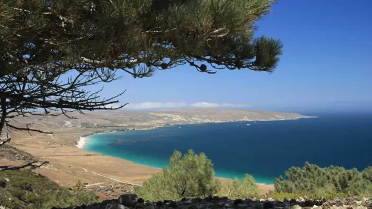 In 1986, a family sold California's 53,000-acre Santa Rosa Island to the US for nearly $30 million