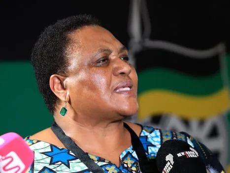 National Assembly speaker Didiza survives motion of no-confidence