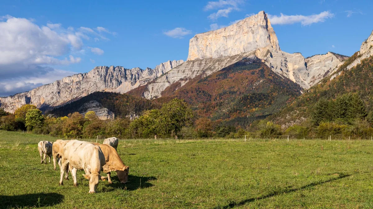 Six destinations accessibles en transports pour profiter de la nature en automne