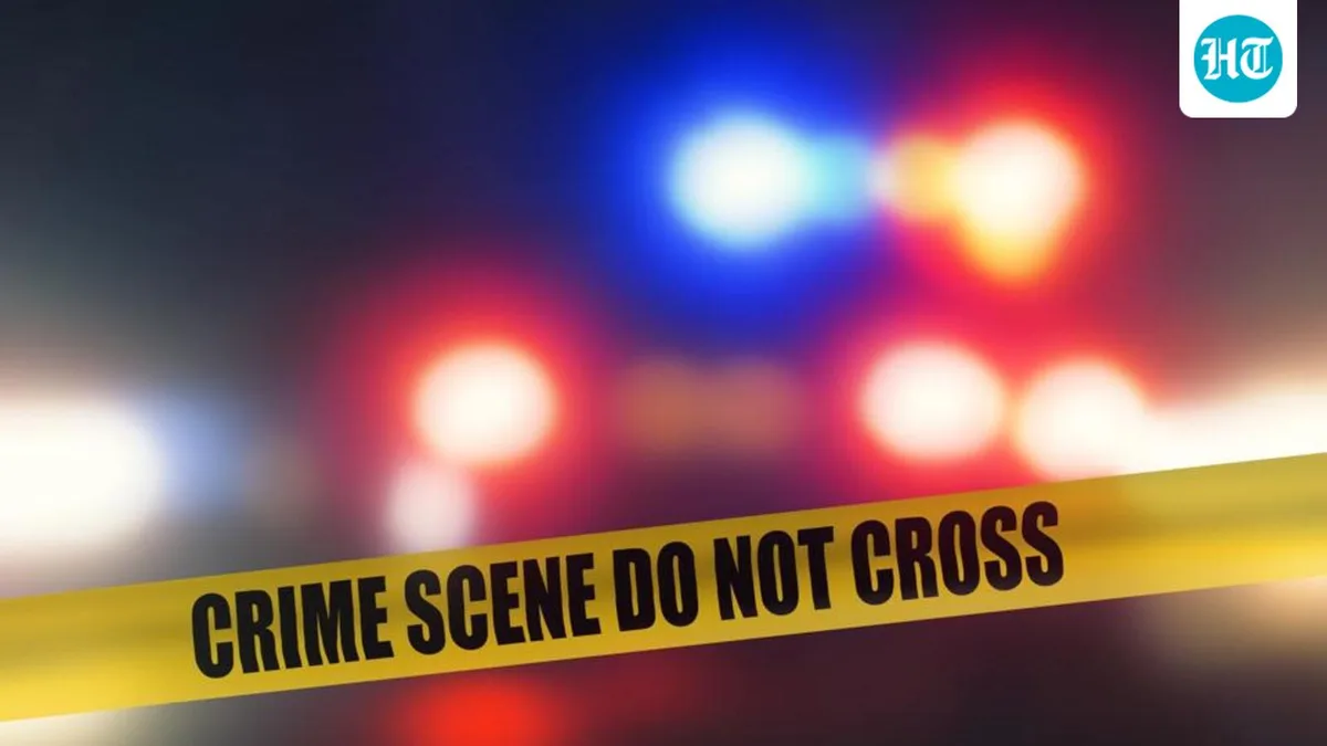 Chhattisgarh couple found hacked to death at home; son is prime suspect: Police