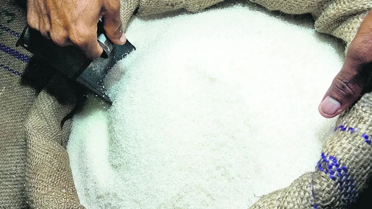 'Incorrect': Govt rejects ethanol link to sugar price spike, blames low output