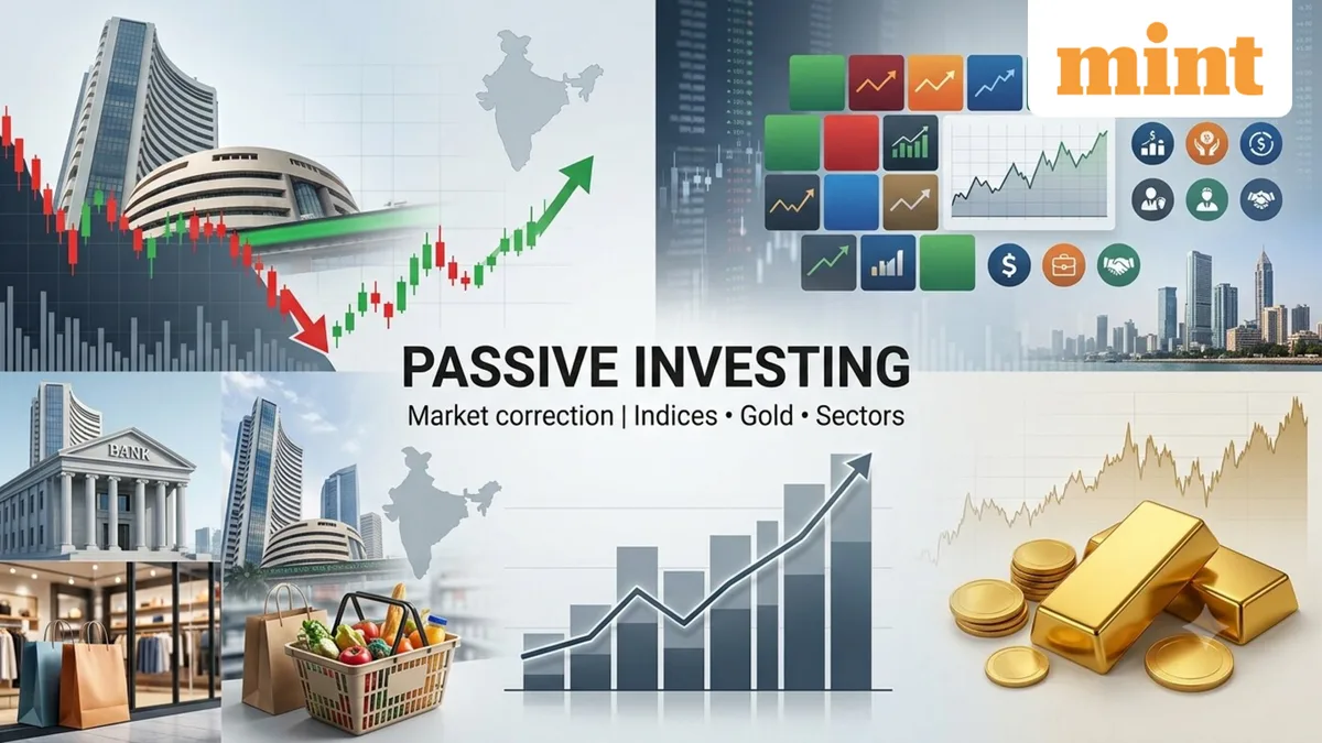 Passive funds: Kotak MF suggests where to put your money across market caps, commodities and sectors
