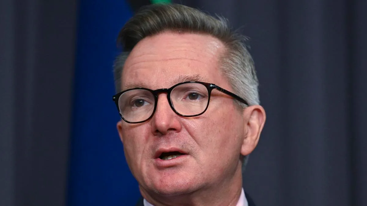MARK RILEY: Chris Bowen’s embarrassing backdown as green data dream takes major blow