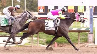 Un total de 245 nominados para la jornada del Maryland Million Day en Laurel Park