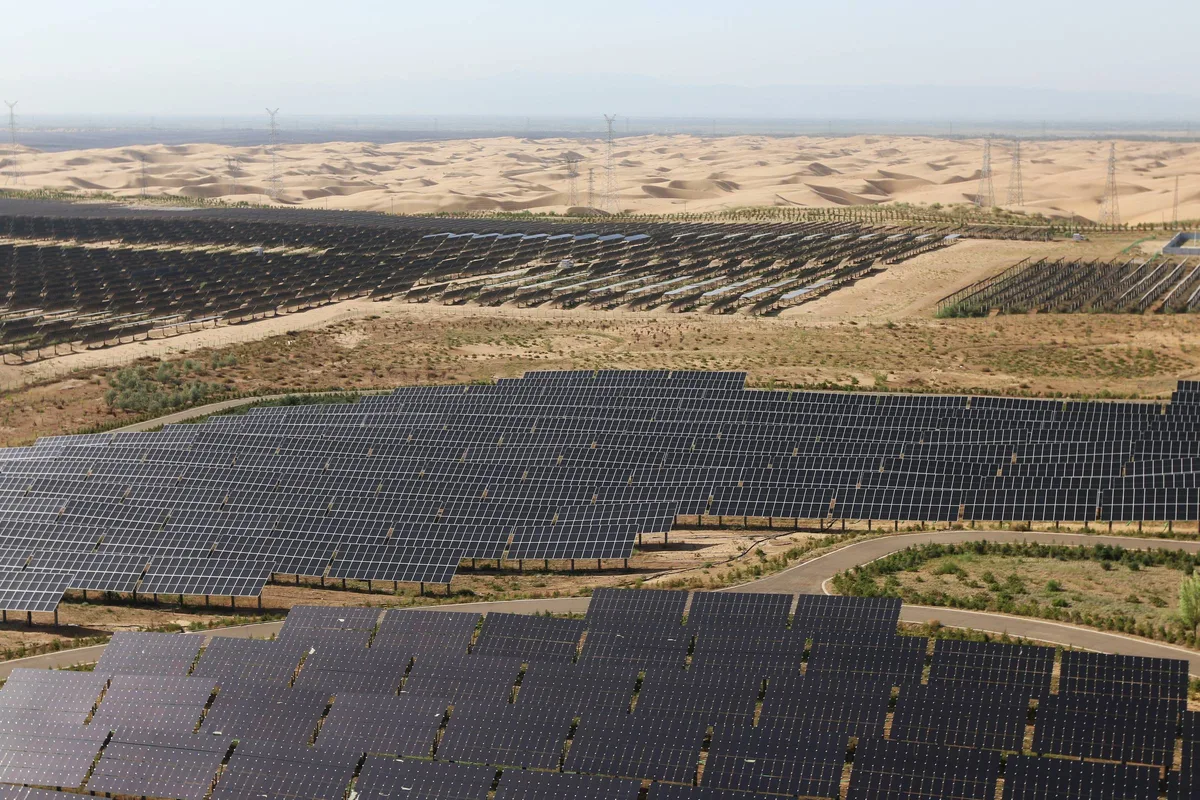 Expansão da energia solar na China reduz diversidade de aves, diz estudo