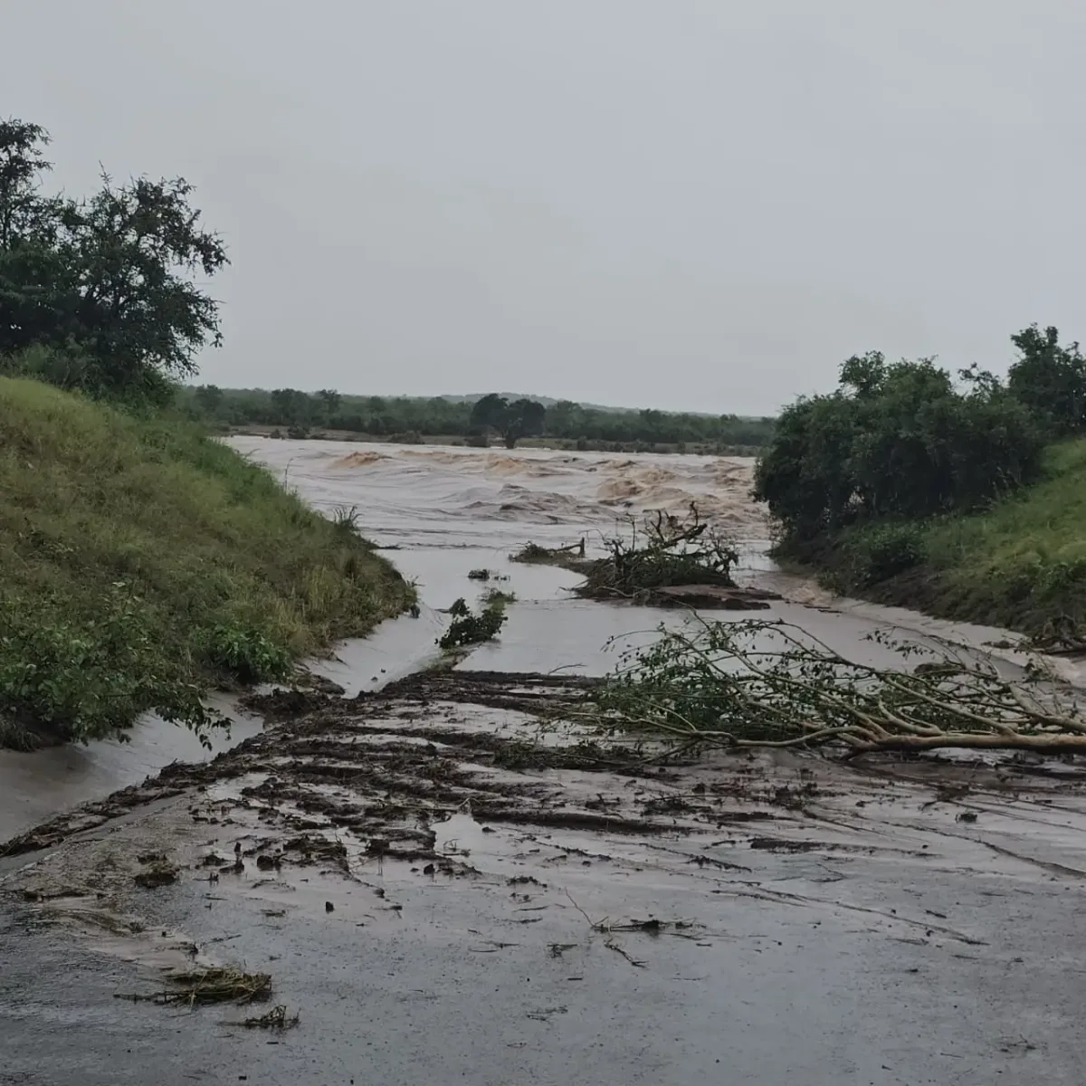 Kruger National Park hero Mpho Mudau relives the day the floods came