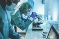 Identifican una proteína en las neuronas que regula la ingesta de grasas y el peso corporal