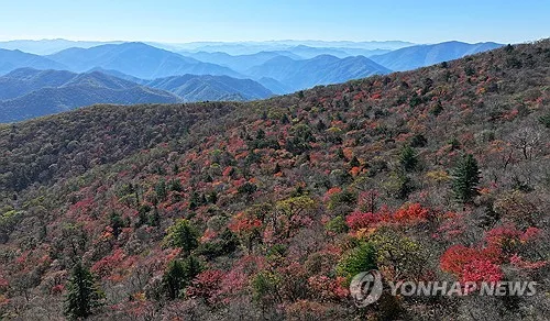 전북 구름 많은 날씨…오후 한때 소나기