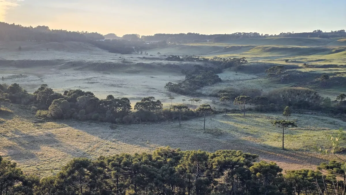 De 30°C a -4°C: ciclone extratropical e ar frio derrubam temperaturas após veranico em SC