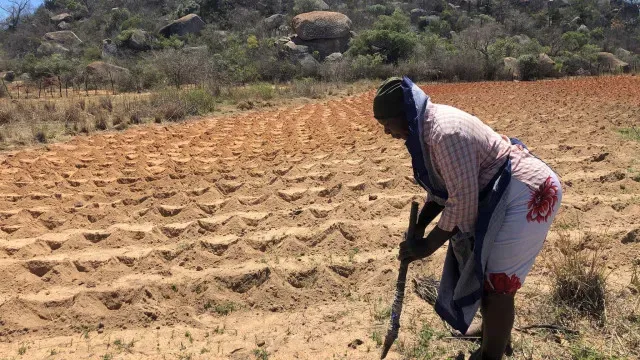 Zimbabué paga 732 milhões a agricultores brancos por terras expropriadas
