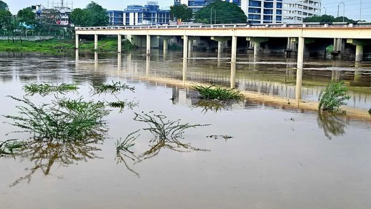 A river as a legal person