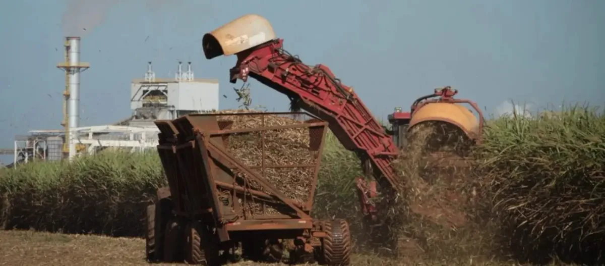 Sugar sector feels the squeeze