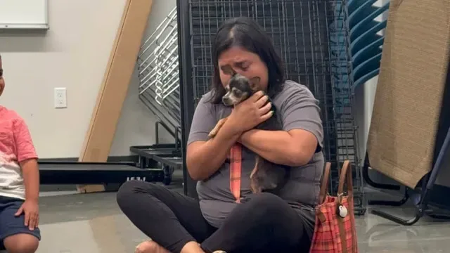 Cadela desaparecida durante 12 anos regressa a casa. "Muito emocionante"
