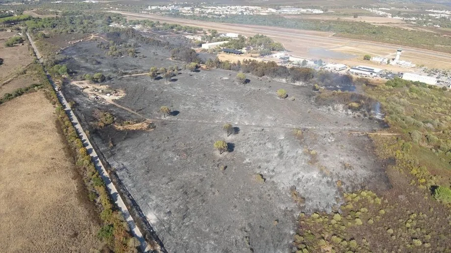 L'incendie de Calvi est maîtrisé, le trafic aérien reprend et la circulation est rouverte sur la D81