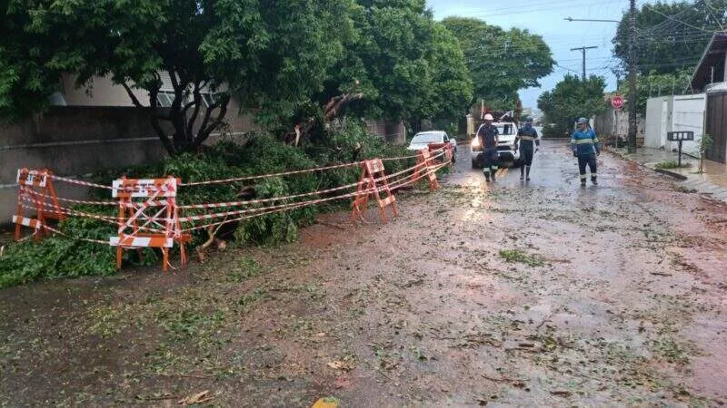 Temporal de quinta deixou bairros sem água e gerou 3,8 mil chamados