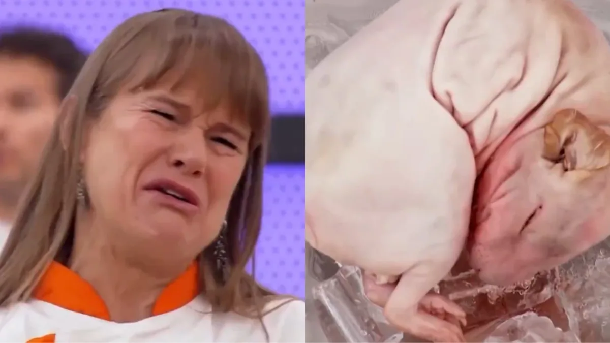 Actriz mexicana rompe en llanto al descubrir que debía cocinar un cuy entero: “Es lo peor, es un bebé”