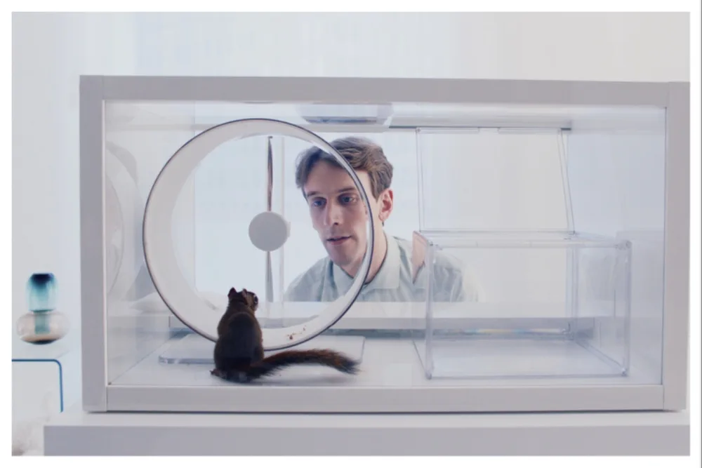 Markus Lehmusruusu’s Finnish Oscar Entry ‘The Squirrel’ Earns Aki Kaurismäki’s Stamp of Approval: ‘He Said It’s Like ‘2001: A Space Odyssey,’ but Better Because It’s Full of Humanism’
