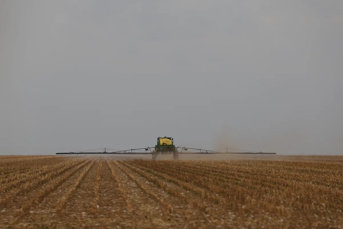Soja alavanca agronegócio e Bahia prevê maior colheita da história em 2026