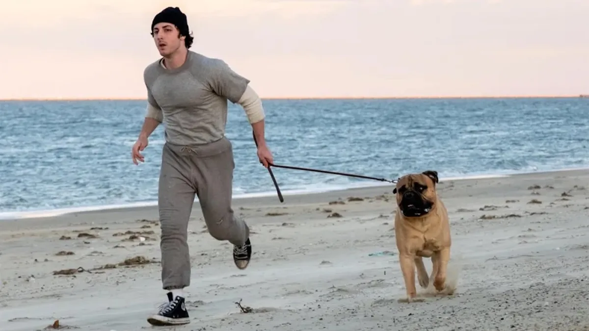 Oscar Winner’s Latest Is an Insult to Stallone’s Classic