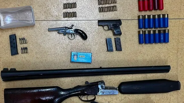 Homem detido após disparar espingarda pela janela na Ameixoeira
