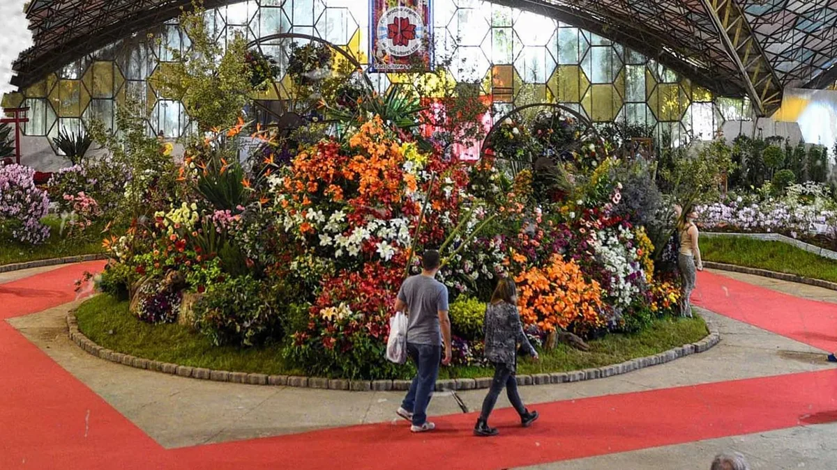 La Fiesta Nacional de la Flor busca voluntarios para su 63° edición: qué puestos ofrece y cómo postularse