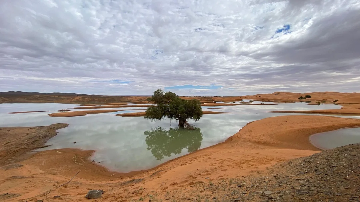 Buscan al culpable de que el Sáhara se convirtiera en un desierto y lo encuentran en Groenlandia