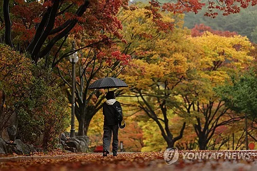 [내일날씨] 전국 흐리고 비…수도권·충청·전북 최대 80㎜