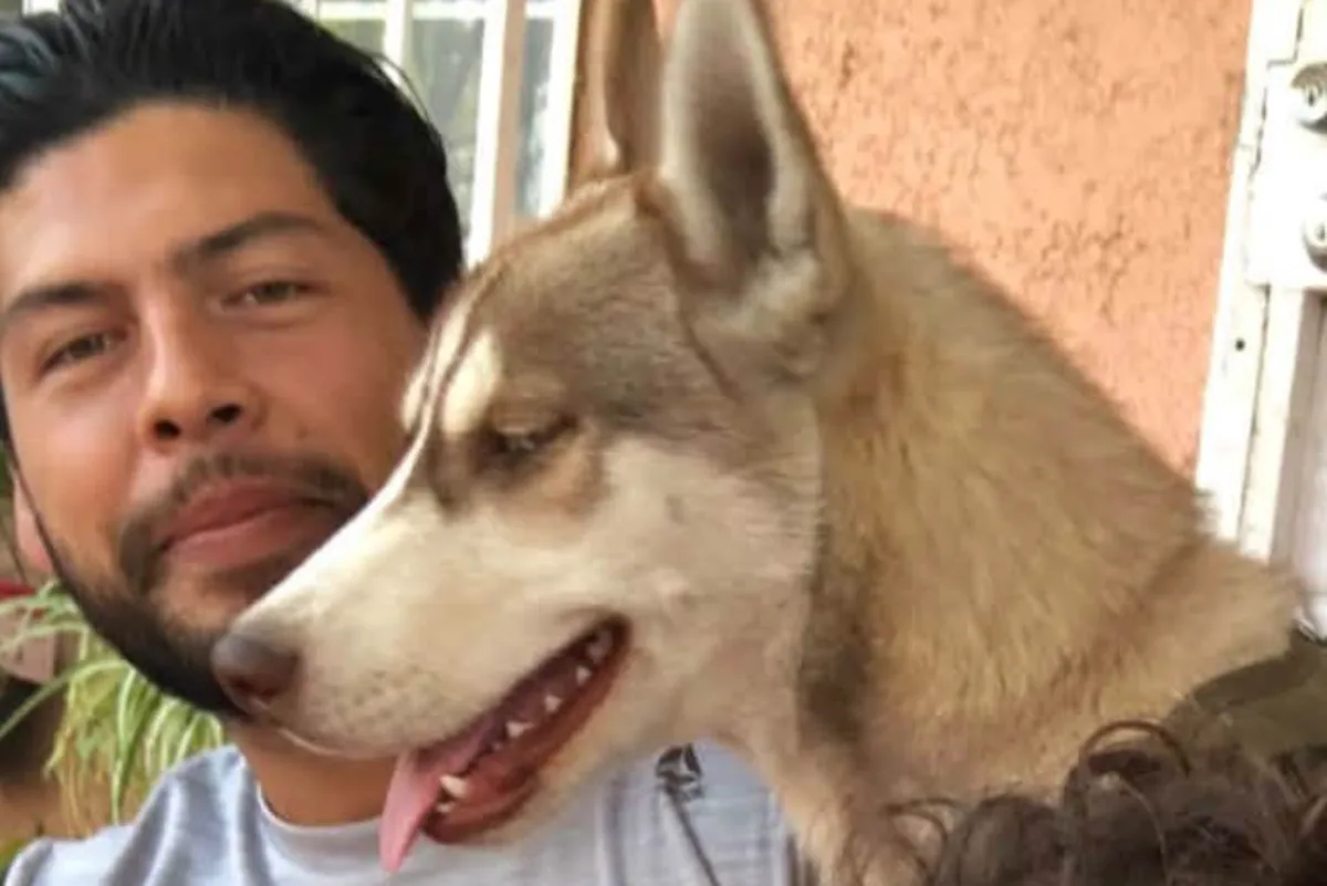 Beloved husky found hanged behind doughnut shop as heartbroken owner says ‘He was like my son’