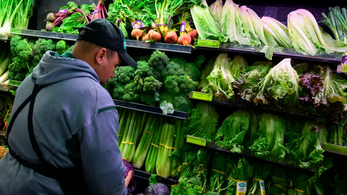 'Nobody wants it': Lettuce prices see record-setting plunge as cyclospora spooks consumers