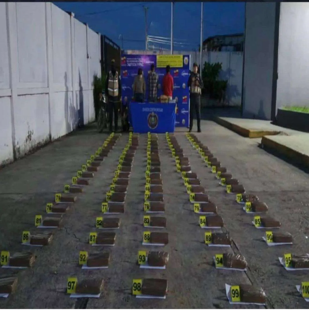 PNB incautó 104 kilos de droga transgénica