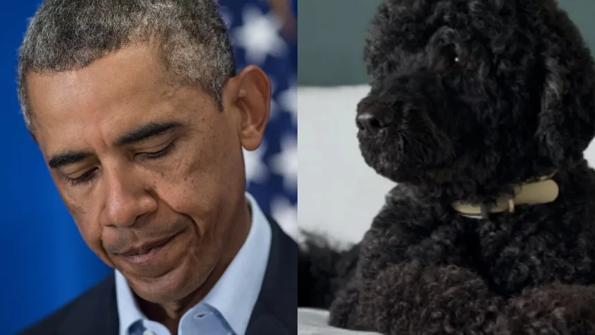 Murió Sunny, la perrita de Barack Obama que vivió en la Casa Blanca durante su segundo mandato